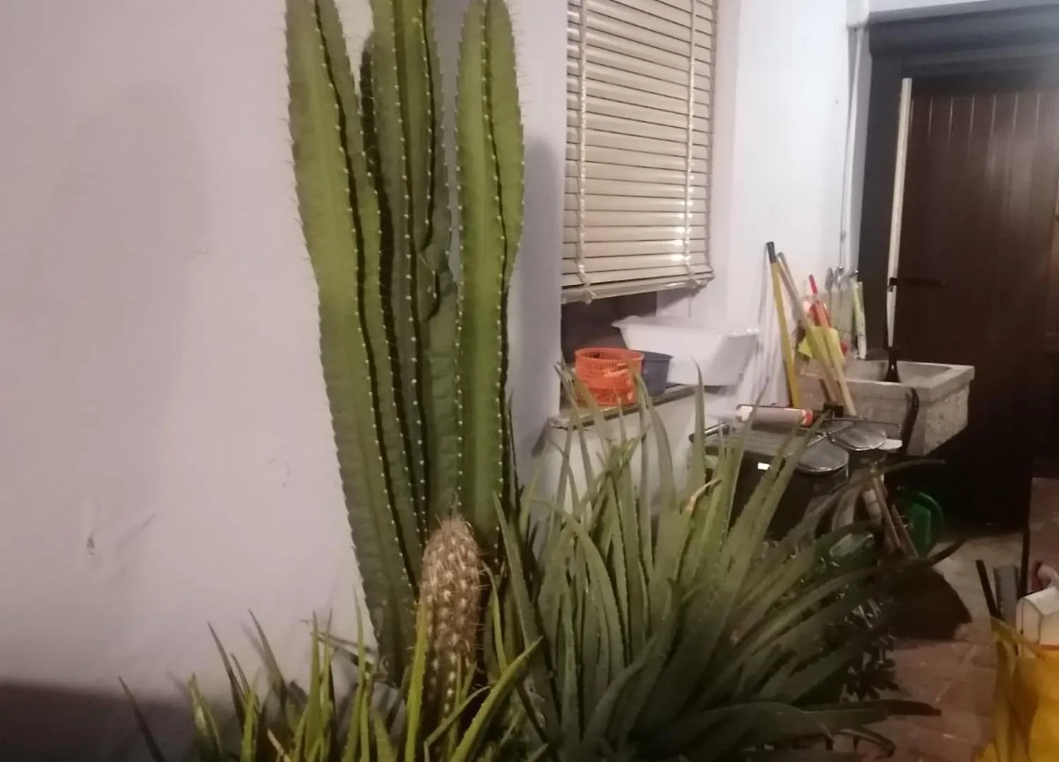 מלון מירנדולה Il Giardino Dei Pico 0*,  איטליה